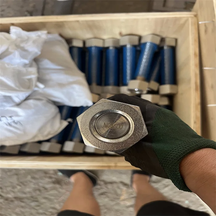 Custom fastener bolts and nuts Incoloy 825 N08825 Incoloy 800HT