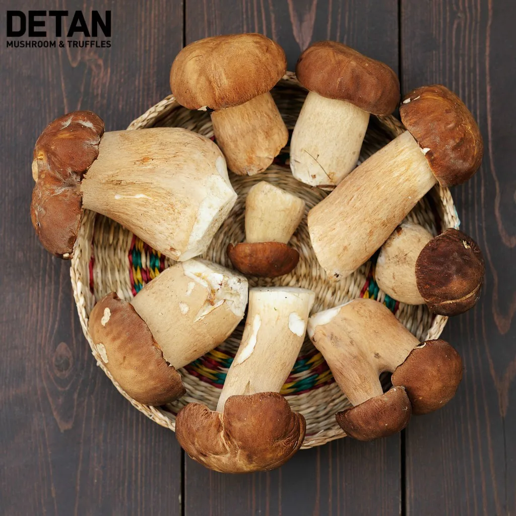 Detan дикая/культивированная заводская цена Funghi Porcini
