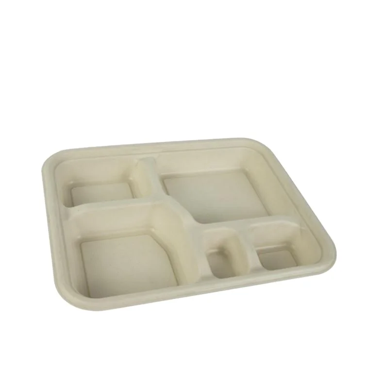 Biodegradable Sugarcane Bagasse pulp Bamboo Disposable 5 Compartments Lunch Plate Food Tray Bento Box With PET Lid