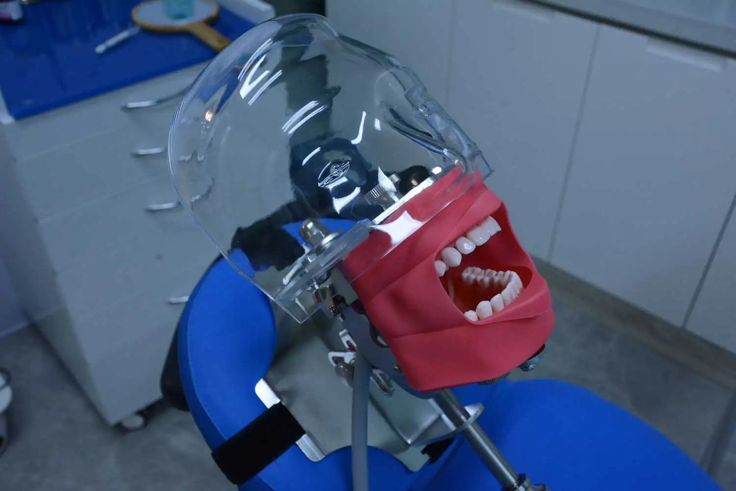 Dental Lab Strap-style Dental Chair Simulator Manikin Typodont Practice Adjustable Phantom Head