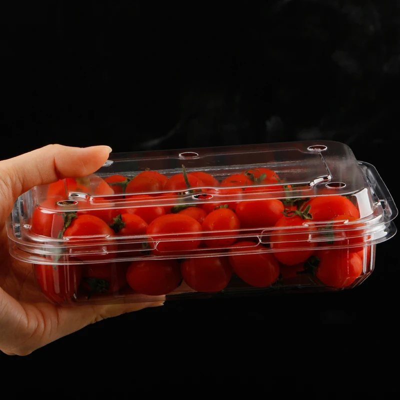 Plastic Blister Clamshell Food Eco-friendly Disposable