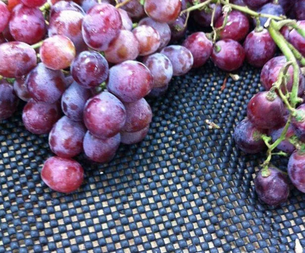 Under Carpet Underlay Anti Skid Mat Non Slip Rug Pad Gripper/High quality wholesale pvc rug pad gripper non slip