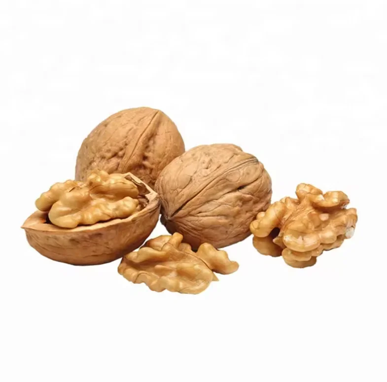 2024  Walnut Kernels International Superior Grade walnut shellwalnut kernel price walnut without shell