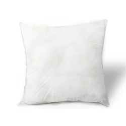 Wholesale Good Quality Insert Pillow, Throw Pillow Inserts, All Sizes Pillow Inserts
