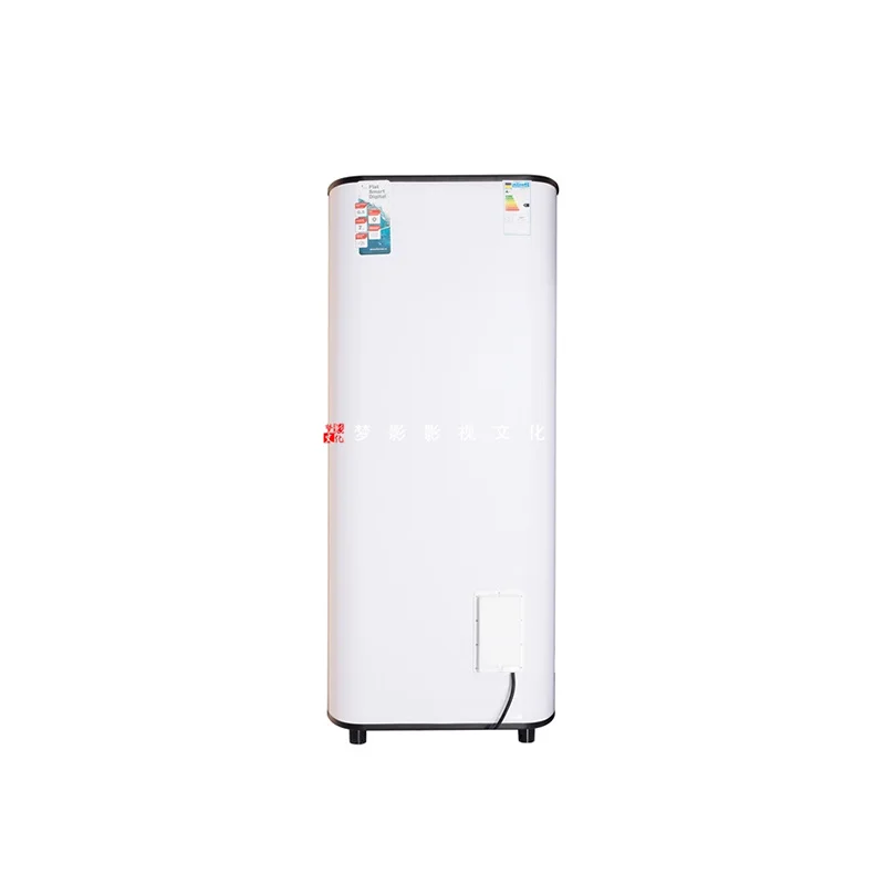 Freestanding Cooper Element Water Heater Dszf-100L Boiler Euro Standard Heat Pump Water Heaters