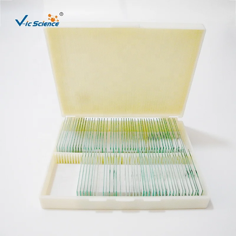 
100 PCS Set biological microscope microslide hard bone prepared slides 