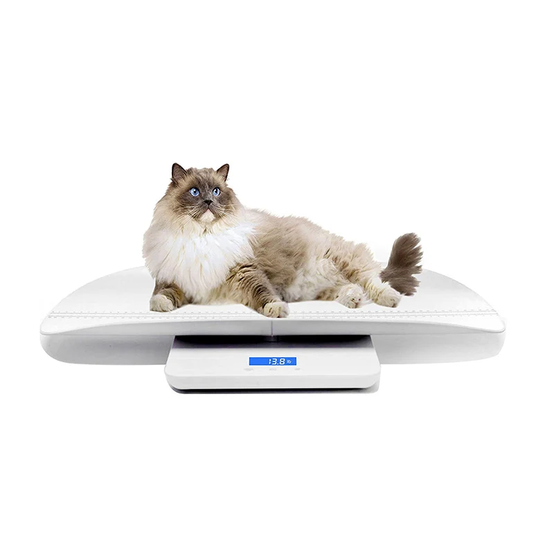 J&R China Manufacturers OEM Supply Electronic Smart Toddler Pet Infant Mother and Baby Weighing Scale for Newborn