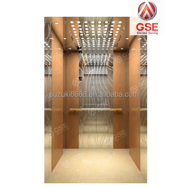 GSE Stable Competitive Price elevators for homes Suzuki elevator Small Villa Indoor Outdoor Residential Elevator