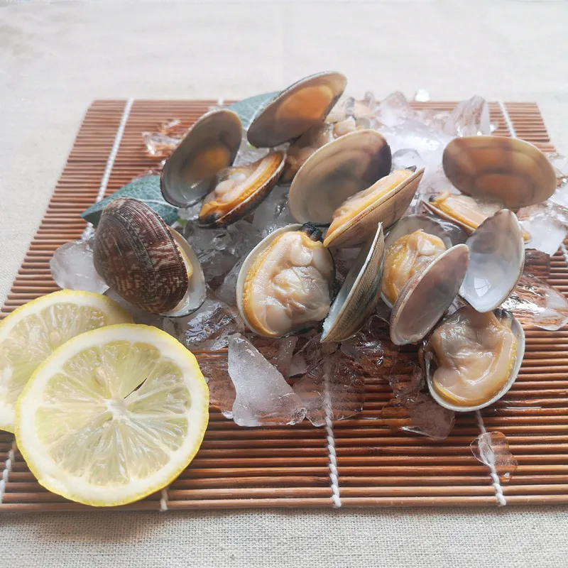 clam with shell (25).jpg