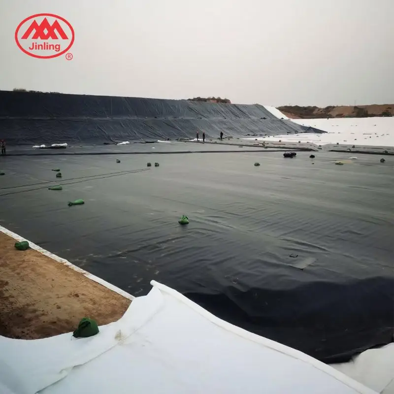 Price 1Mm 2Mm Waterproof Geo Membrane Plastic Artificial Lake Tank Dam Lining Swim Pool Fish Pond Farm Liner HDPE Geomembrane