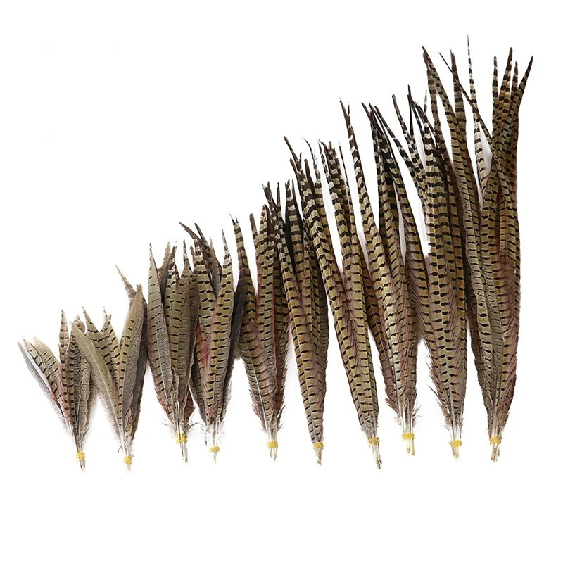 Factory wholesale 10-100cm female male pheasant tail DIY headwear accessories pheasant feather