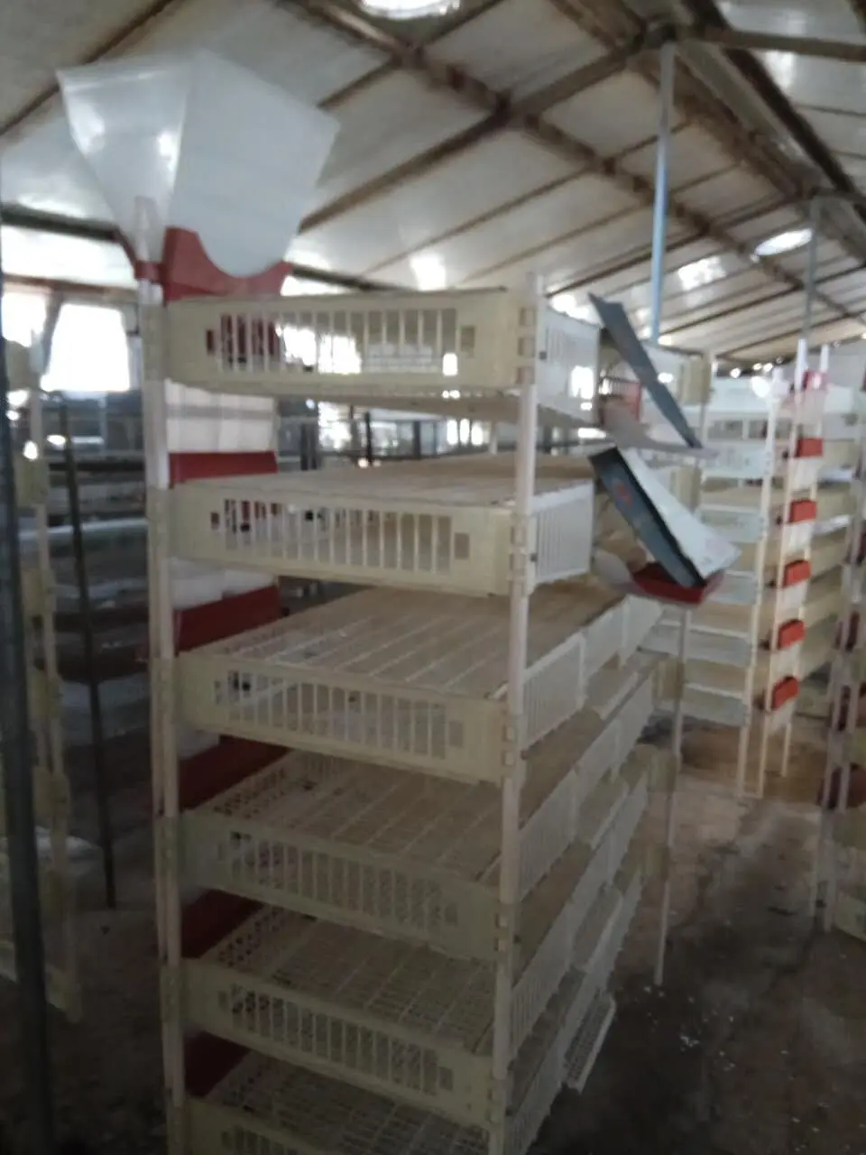 Профессиональное оборудование для птицеводства! 6 прозрачный пластиковый органайзер перепелиные клетки с сбора яиц/перепелиные слоя HJ-QC400B