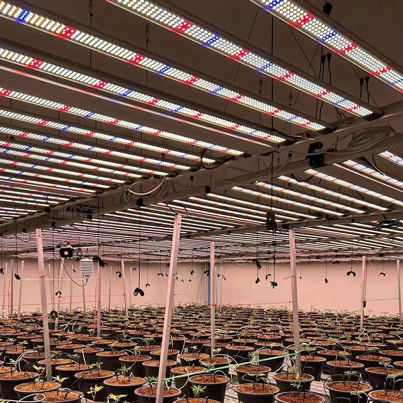 LEDILAND 640W Full Spectrum LED Grow Light Samsung LM301H Chip IP54 Veg Bloom Plants Aluminum Body Indoor Greenhouse Low Price