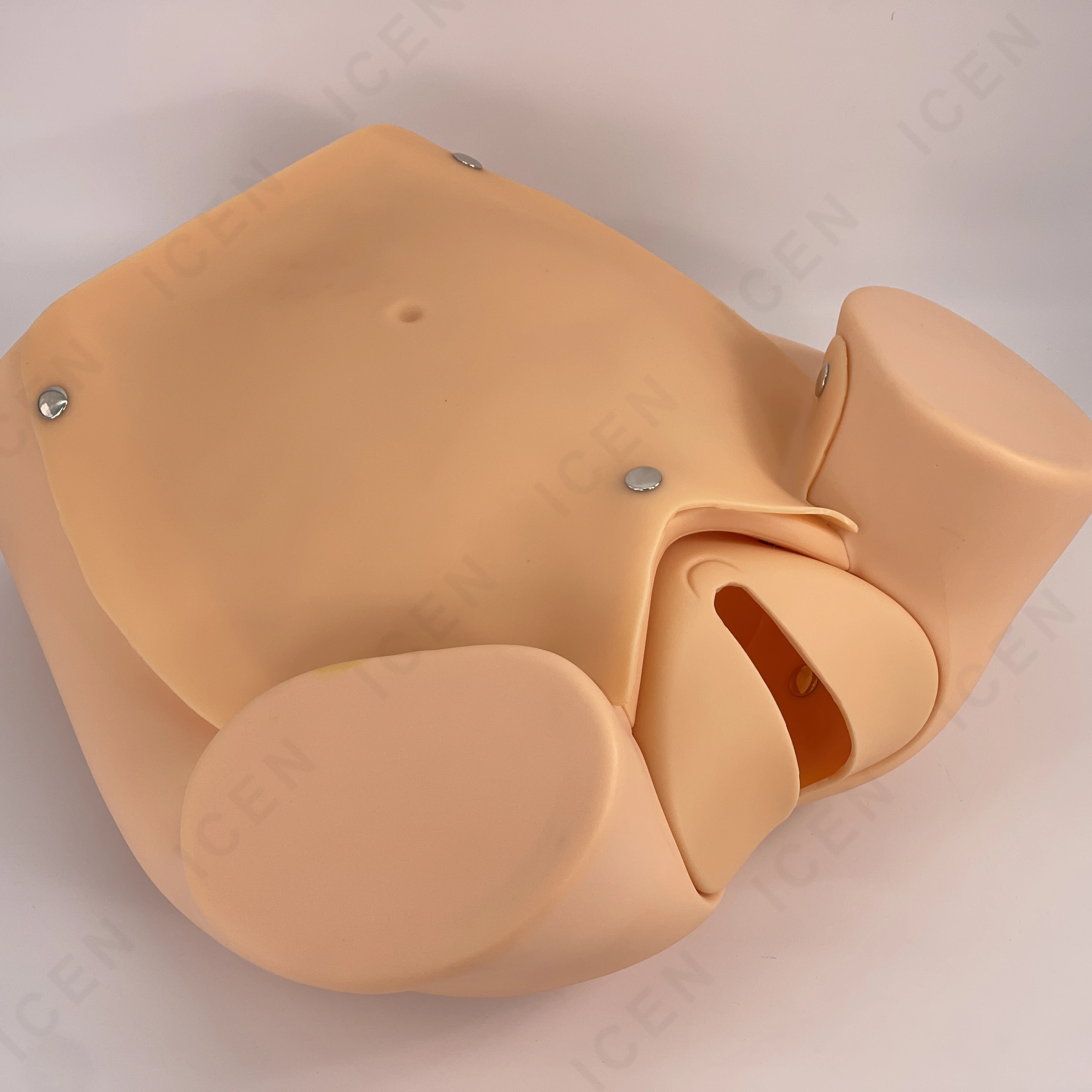 IN-M10 Comprehensive Medical Science Delivery Skills Training Simulator Childbirth Skills Training Model