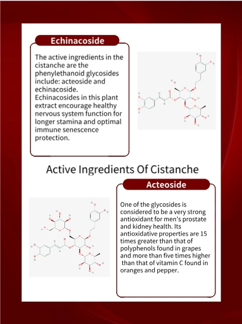 AGILENT Testing HPLC  60% Phenelythenal Glycoside 22% Echinacoside 8% Acteoside Cistanche Tubulosa Extract Prostate Tea