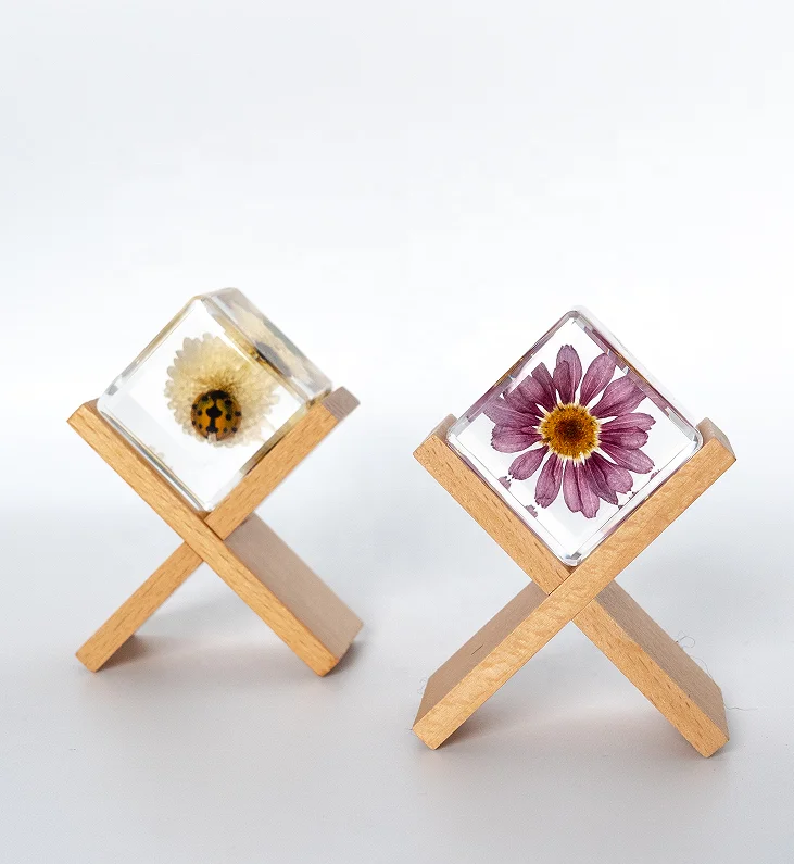 Insect in Specimen Bug Paperweights Resin Different Insect Preserved in Resin for Kids Scientific Educational Toy