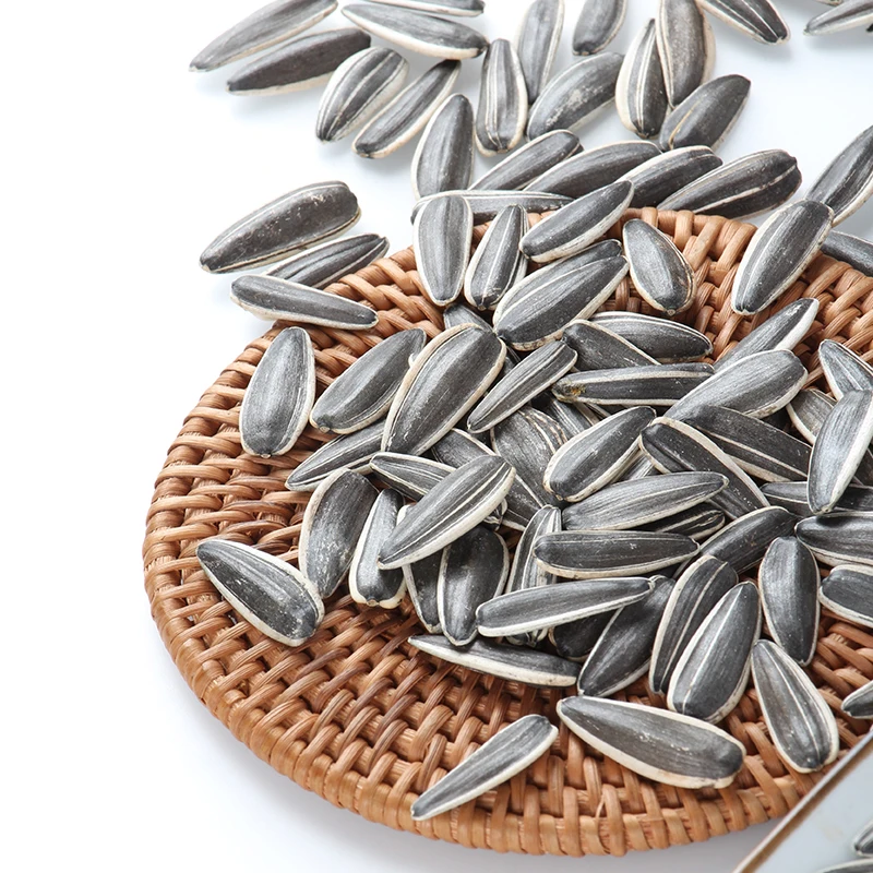 New Crop High Quality Sunflower Seeds T6/363/361 Supplier