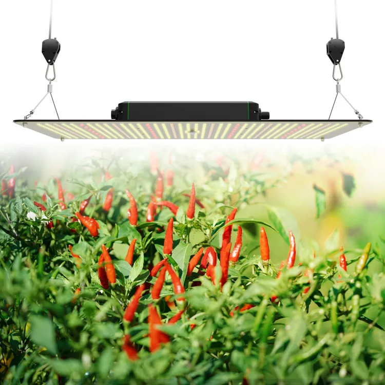 TUBU daisy chain bloom booster red led grow lights indoor 240w quantum grow lights