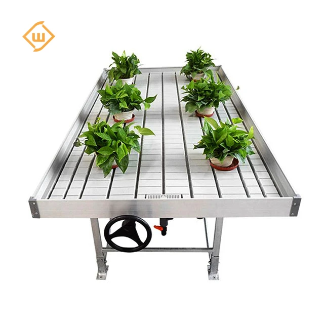 China agriculture seedling nursery cultivation greenhouse with nursery tray and rolling bench
