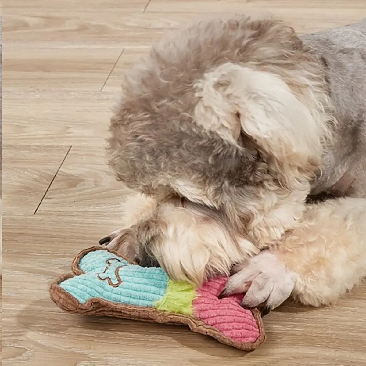 Dog Squeaky Toys Plush Dogs Chew Toy for Small Medium Breed Puppy Teething Chewing Aggressive Interactive Birthday Gifts