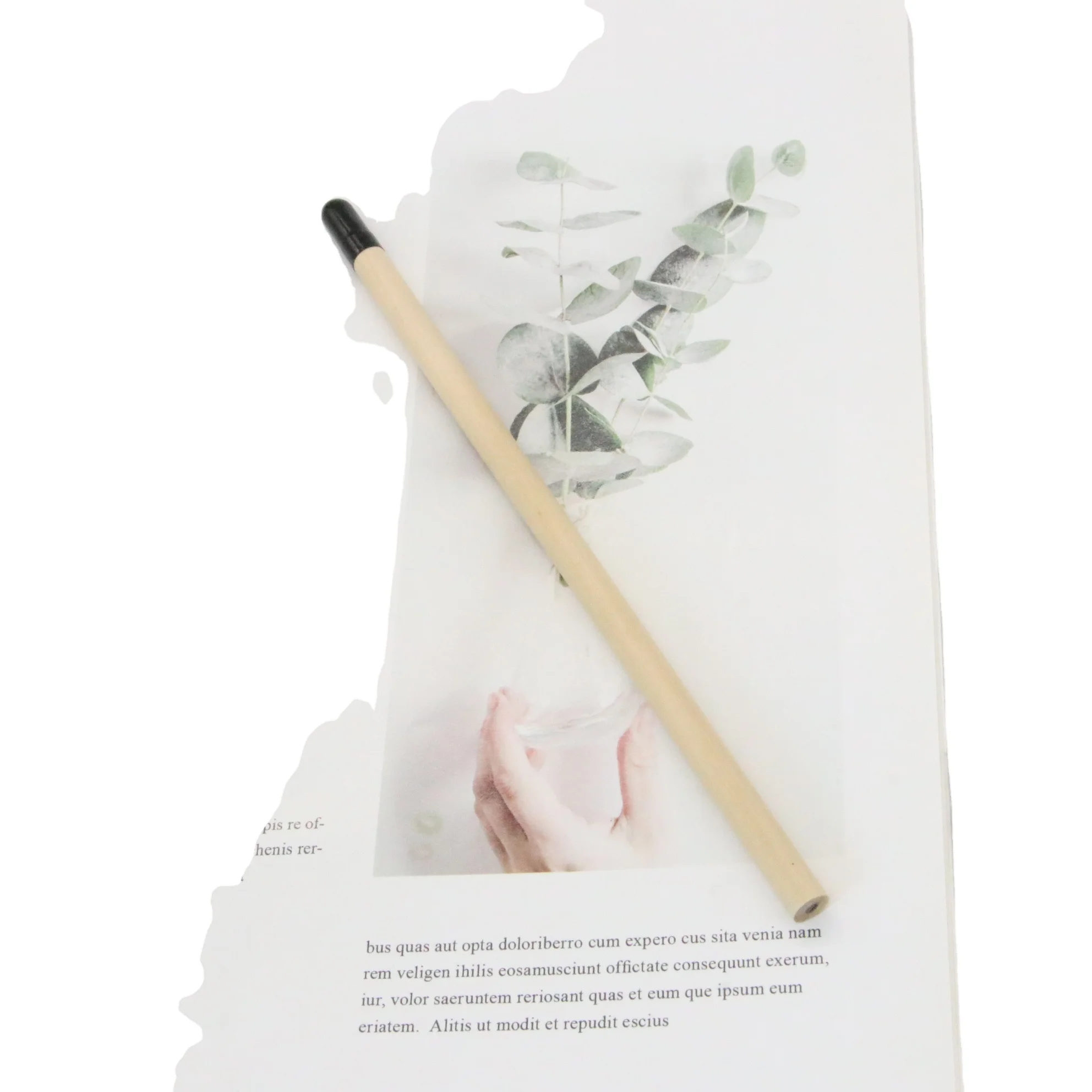 HB  pencil  pencil plant seed wood Pencil with logo