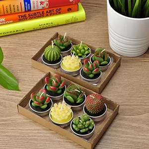 26g Custom Design 6 Pack Set Succulent Green Plants Mini Cactus shaped Carved Candles