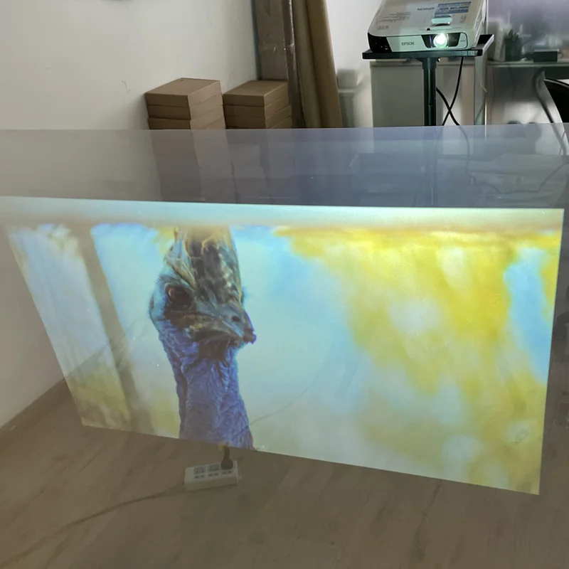 3D Hologram 360 Degree Soft Rear Projection Screen Film for Window Glass