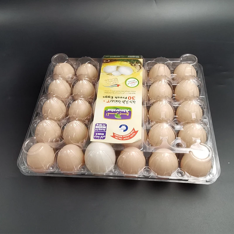 30 hole customized pet environmental friendly plastic flip egg tray
