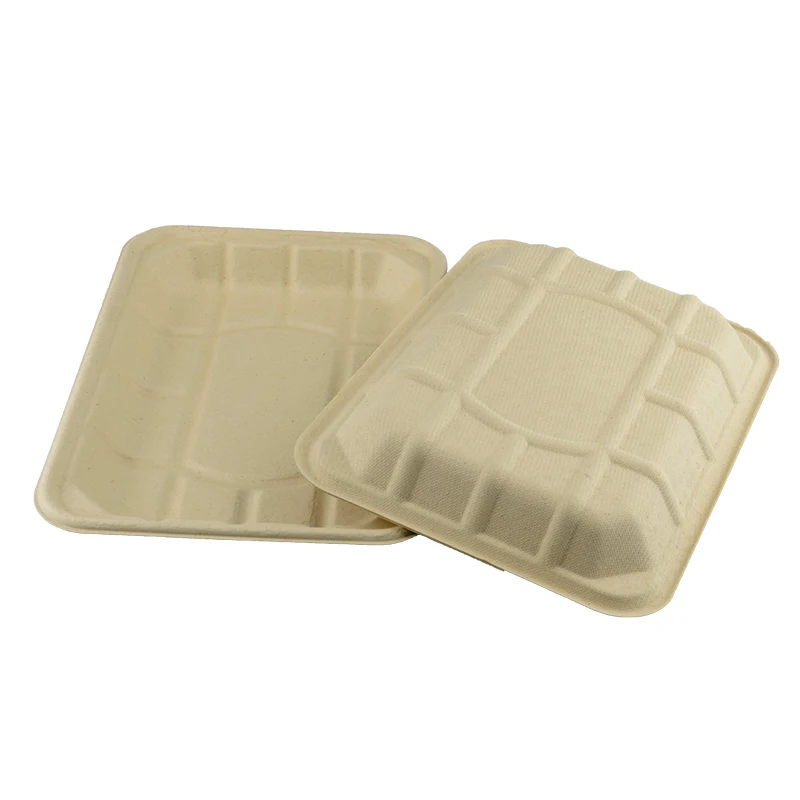 Disposable Rectangle Sugarcane Bagasse Pulp Custom Biodegradable Paper Serving Meat Fruit Sushi Food Tray