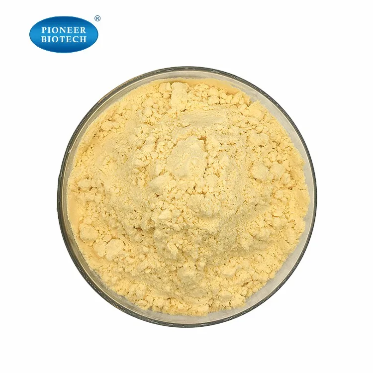 Best price Ginger Extract Powder  Water Soluble Gingerol Powder