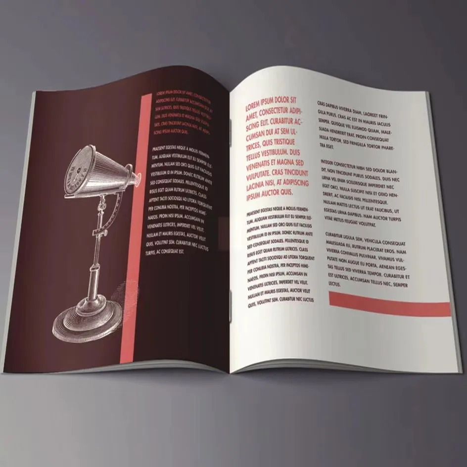 Customized Printed Flyer Trifold Brochure Instruction Manual Advertising Leaflet Takeout Menu Poster Printing