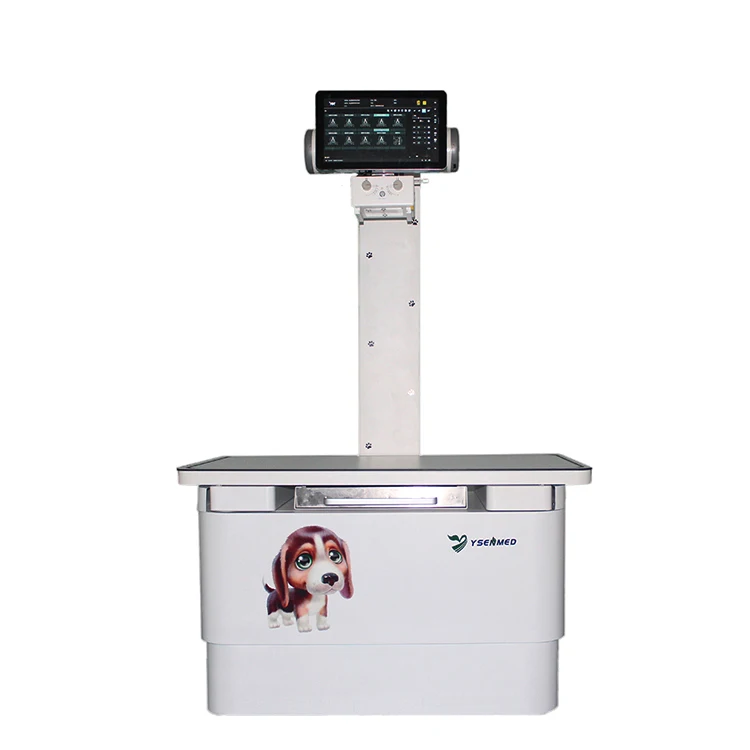 Good Price Medical Table Veterinary Digital X Ray Equipment For Sale YSX200VET