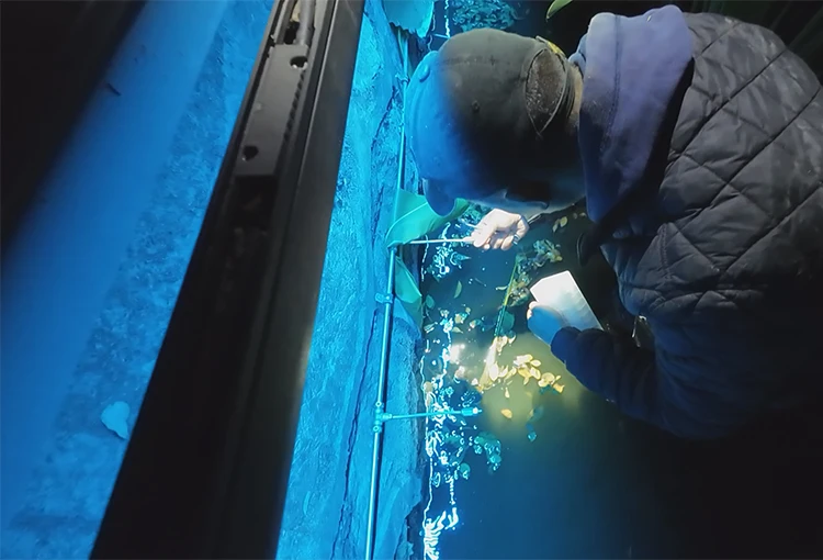 Artwatershow Free Design On/Off Led Light Pond Mist Fountain Fog Fountain Nozzle