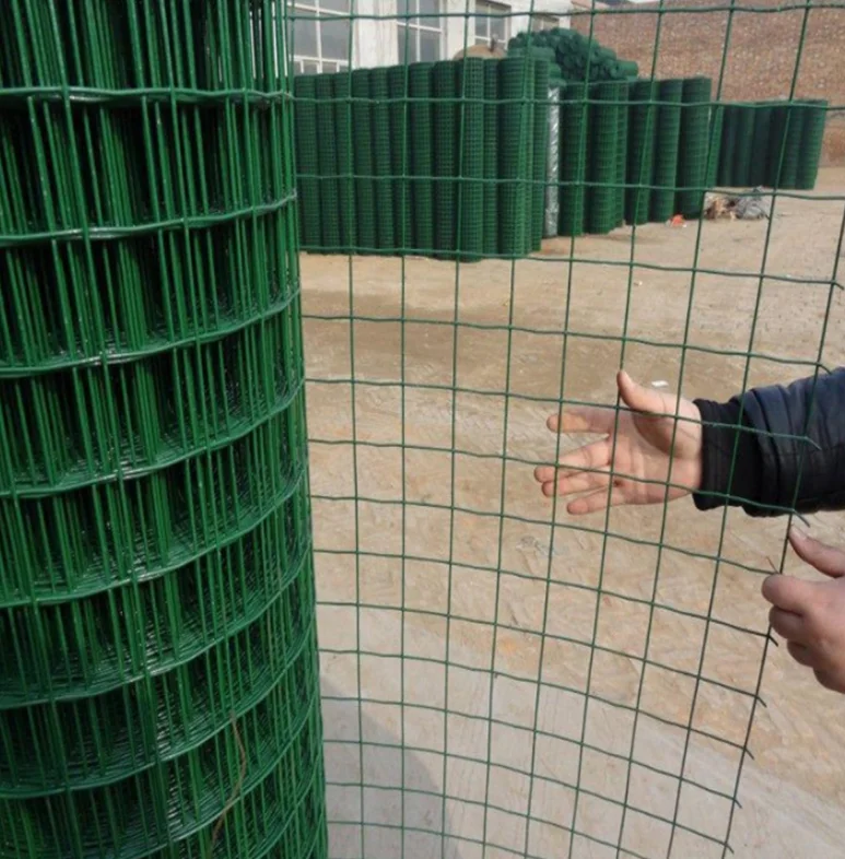 Mesh Bird Cage Roll Weld Price List Galvanized Pvc Coated Welded Wire Mesh