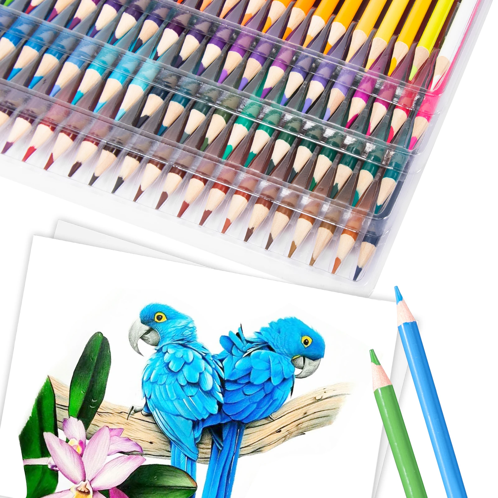 school supplies custom 72/120 colors PP box oil color pencil