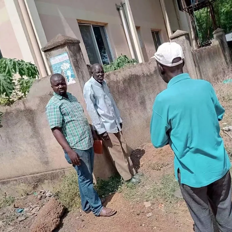 China forged wooden handle agricultural hoe supplier