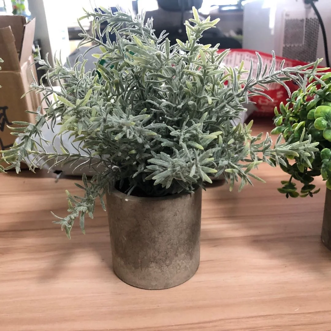 YAYUN A-3009 Mini Toned Plastic Potted Artificial Eucalyptus Faux Greenery In Paper Pulp Pots