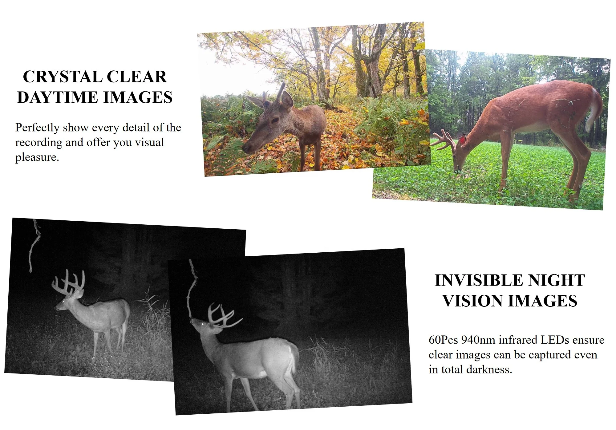 4G LTE 0.4s время запуска 32 Гб ночного видения сотовый олень для отслеживания дикой природы ловушка для игр мини-камера для охоты