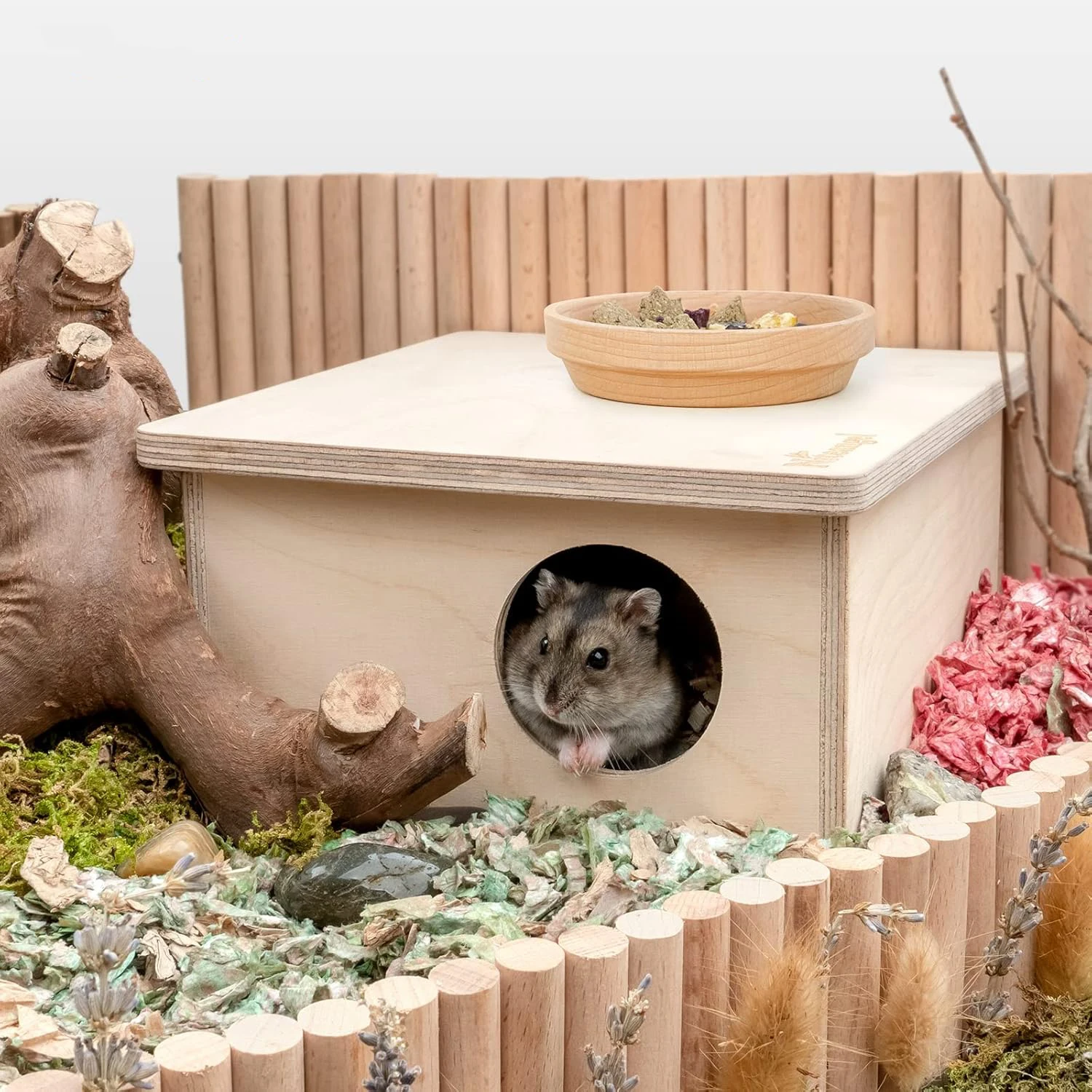Birch Chamber-Maze Hamster Hideout Polished Woodland House Habitat for Small Pets Including Mice Gerbils Hamsters