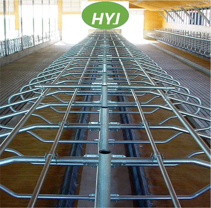 Comfortable Cow Stable Calf Stable Dairy Farm Equipment Free Stall And Feeding Fence Plastic Stall