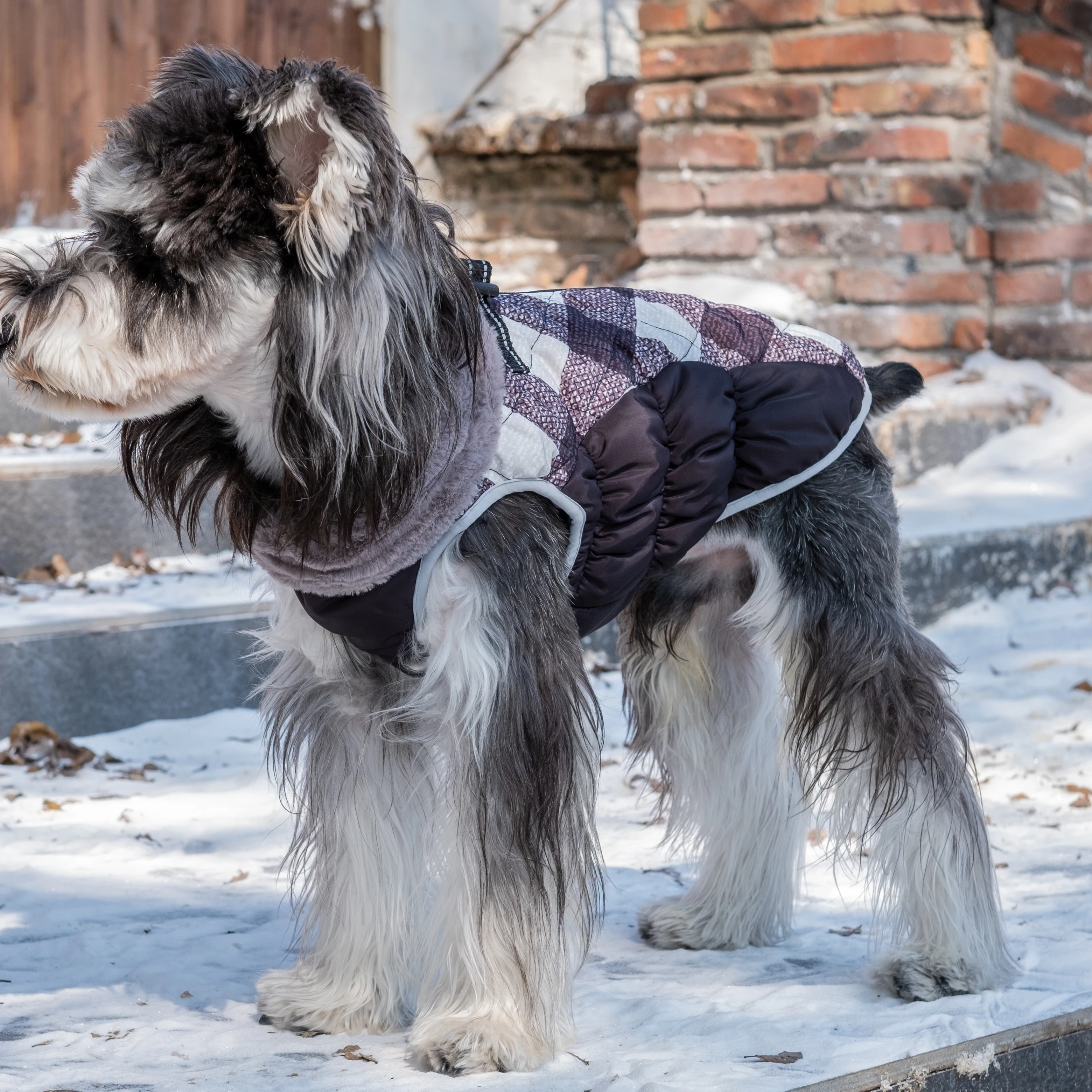 CuteBone New Fashion Design  black and white  Pet Clothing Warm  Dog Coat Jacket Windproof Pet Dog Coat