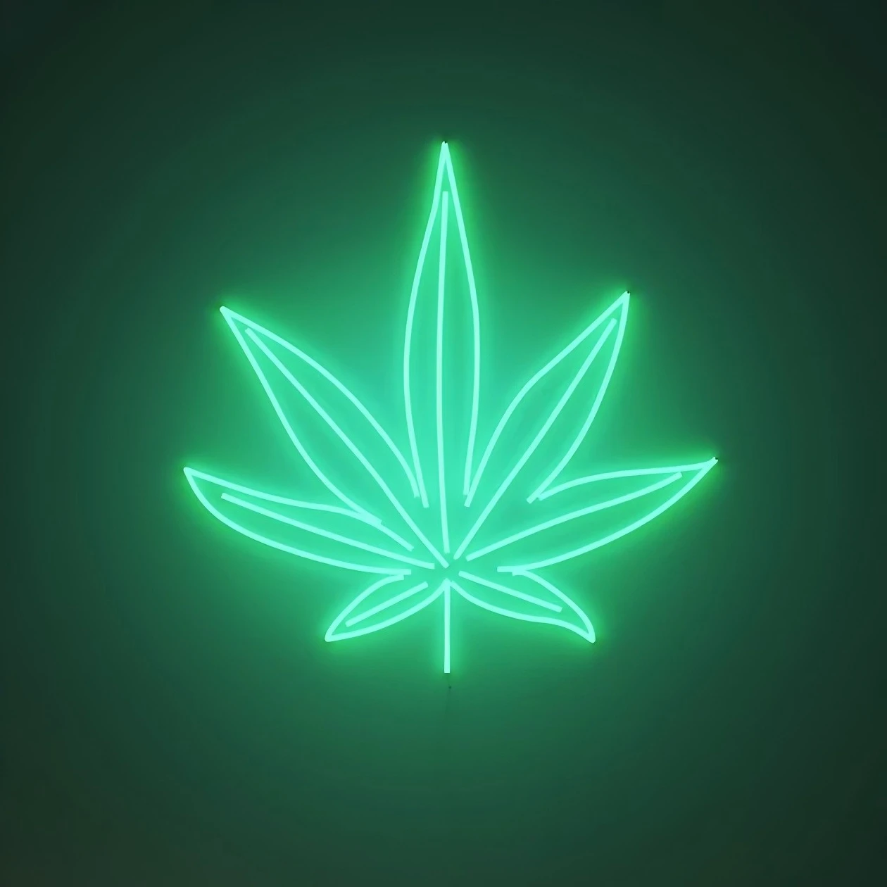 Ganja Leaf pattern LED neon sign acrylic back plate custom neon sign for wall room decor 50*45.5cm