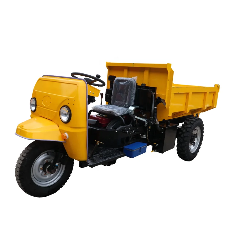 Mini 3 Wheel Dumper Cargo Tricycle 3 Wheel Motorcycle Dump Truck For Sale