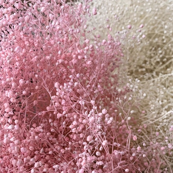 Preserved Fresh Flower Million Xingxia Grass Small Starry Dried Flower Festival Gift With Hand Gift Handmade Finish