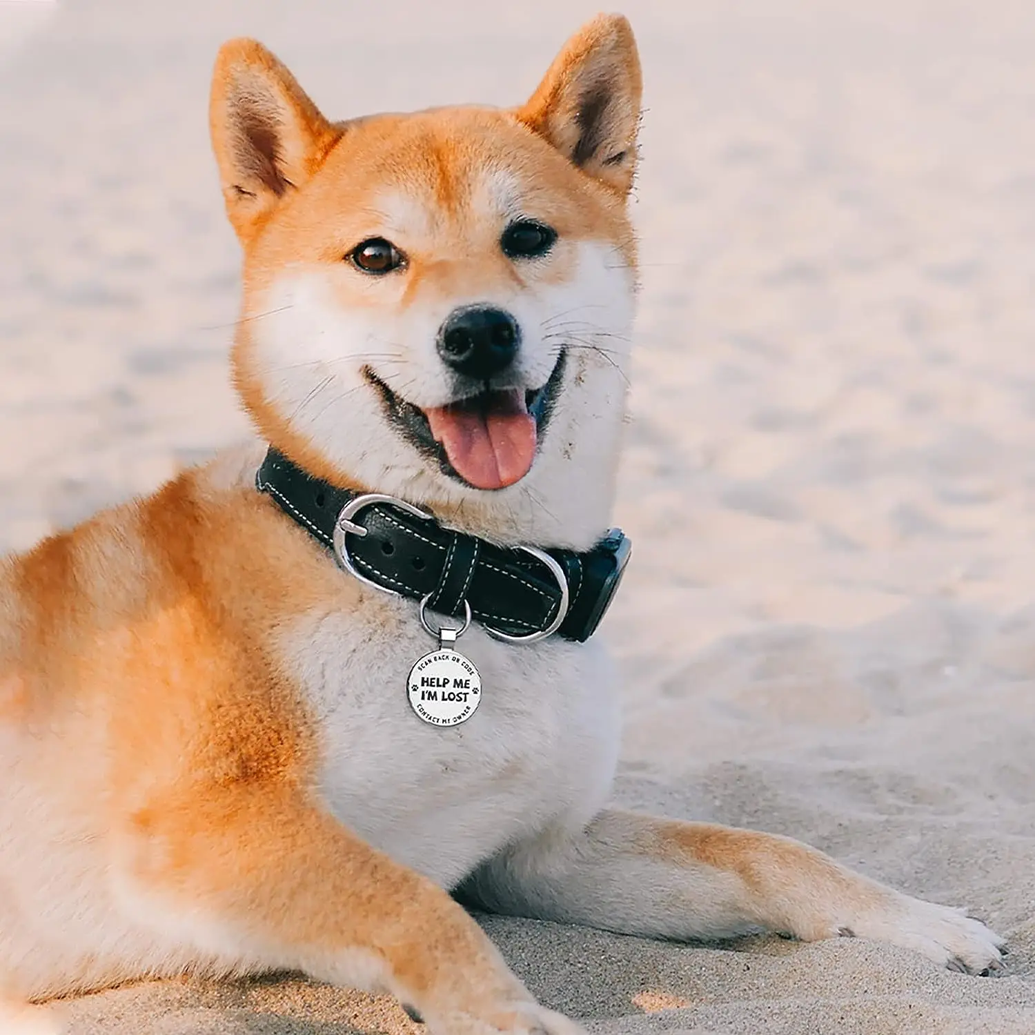 QR Code Pet ID Dog Tags - Pet Online Profile - Scan QR Receive Instant Pet Location Alert Email