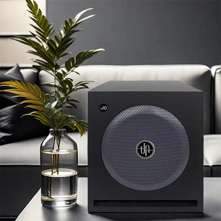 10 inch active professional audio speaker  with surround sound speaker power subwoofer