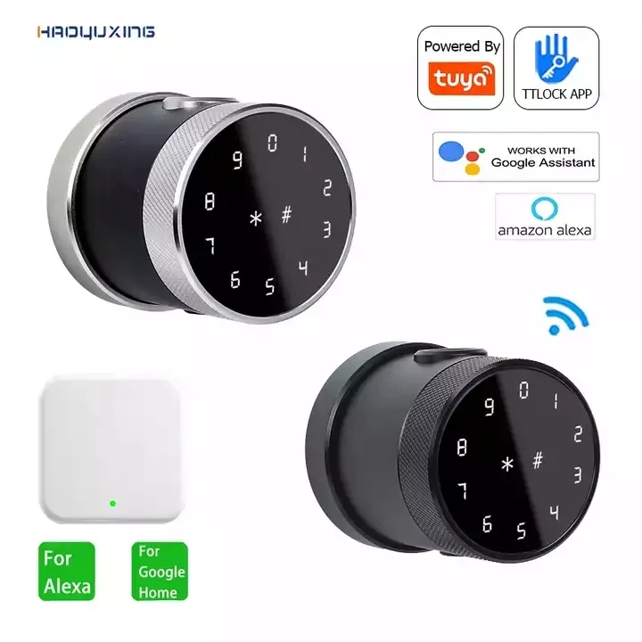 Tuya Smart Room Door Lock with Key Diary Fingerprint Management Hotel Bovos entry door Tubular Ball Knob Lock