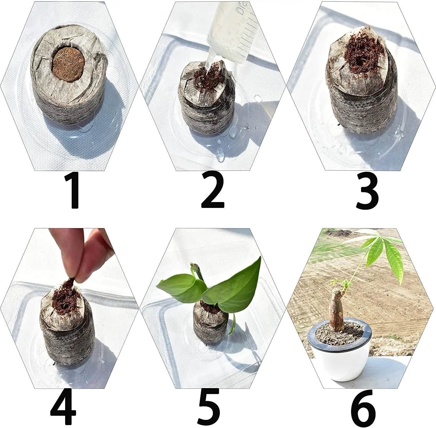 Seed Starter Soil Plugs 36 mm Start Seedlings Indoors Easy to Transplant to Garden coir pellets