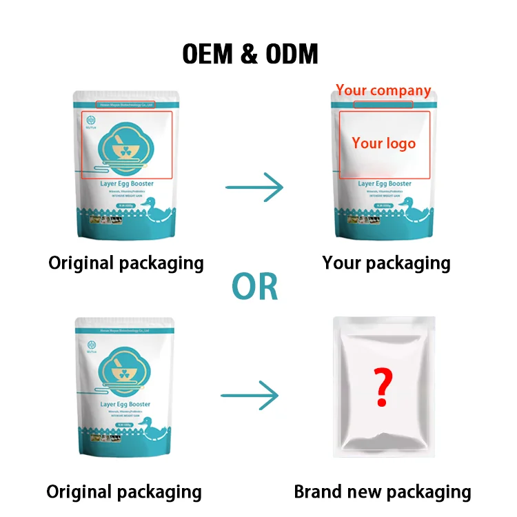 Animal Feed Additives for Increased Egg Production Enhanced Laying Hens Output for Chicken Egg Production