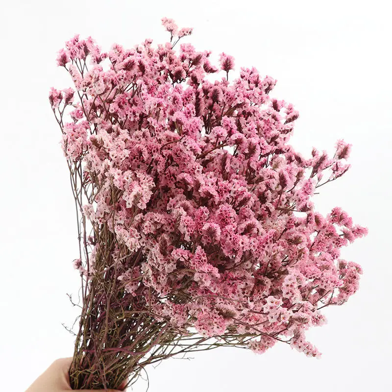 Wholesale preserved flower Preserved Sea Lavender flower Limonium dry crystal grass for wedding decoration